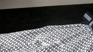 සමීප මිනිසා තෙත් කපා සමග ආසියානු පුසෙක්