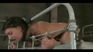 තරුණ බිරිඳ cock and staying doggy style in front of the camera